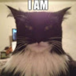 baileyforster avatar