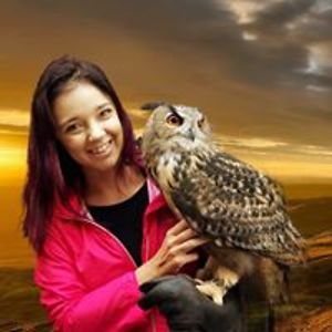 mclippwedding avatar