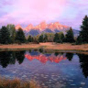 nicolerichards avatar