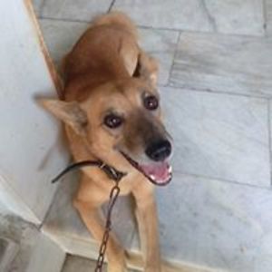 lumiere_deluna5661201 avatar