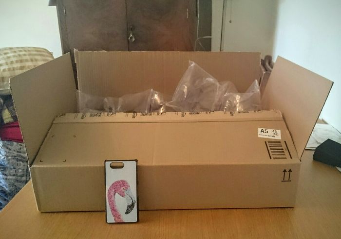 Seriously, Amazon. Is This Really The Only Box You Had?