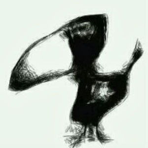 baltojivarna1 avatar