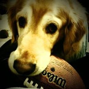 littleislandgirl avatar