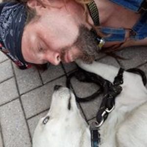 robynravish76 avatar