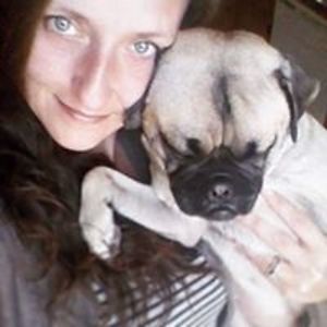 stitchprivizzini avatar