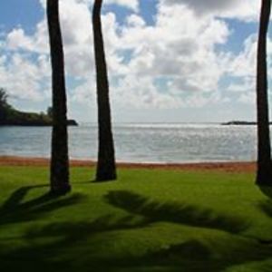 markdleonhardt avatar