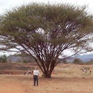 highwayjim2015 avatar