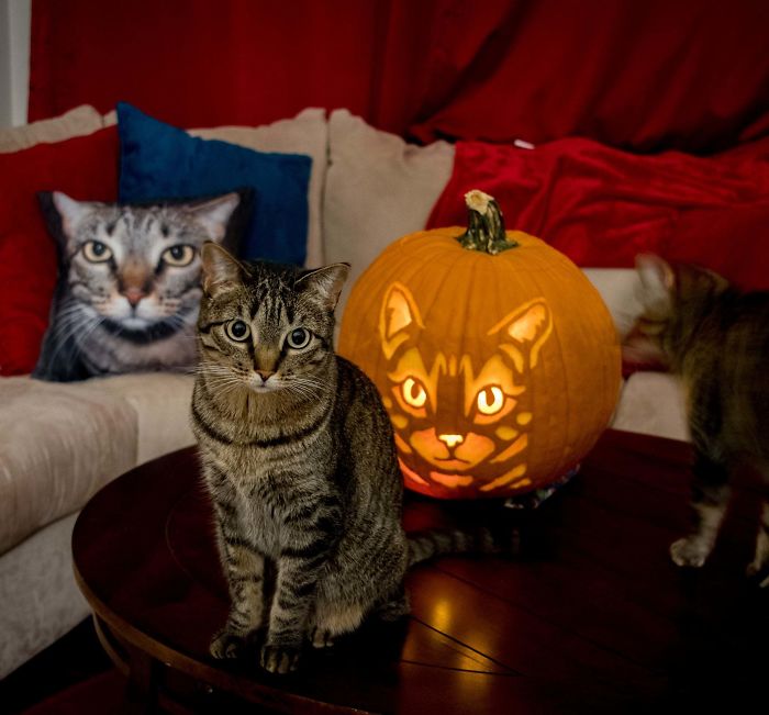 Halloween Pumpkin Carving
