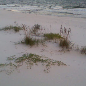 davidcrutcher avatar