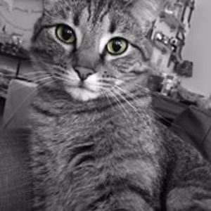 jennie_warner avatar