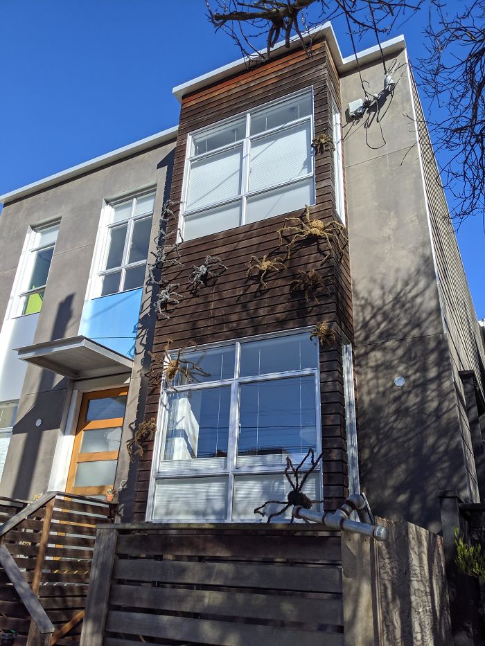 The Neighbor's Halloween Decor Is A Little Too Spooky