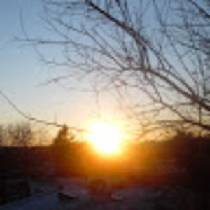 isabellamonty avatar