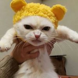 lipkamartyna1 avatar