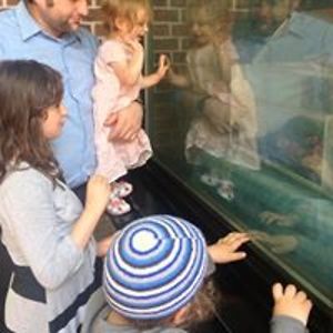 renovationrevolution avatar