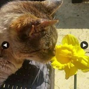 maximus_hobbs avatar