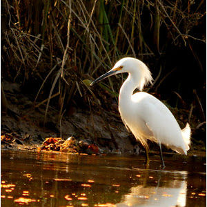 stevenjordan_1 avatar