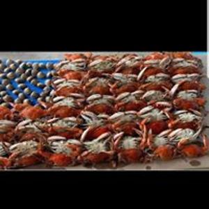 lisaeasterdayrn avatar