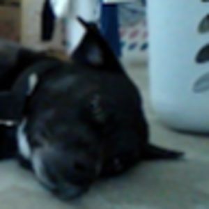 emmahheadrick avatar