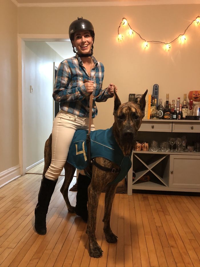 Since Everybody Calls Him A Horse Anyway