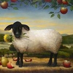 violetorchid1982 avatar