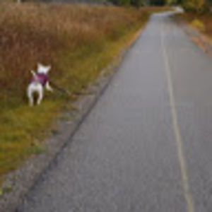 a_hollyholland avatar