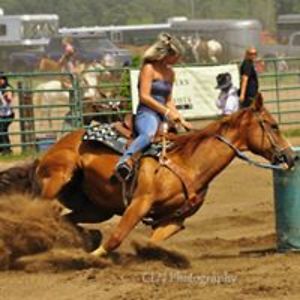 hokeypokey018 avatar