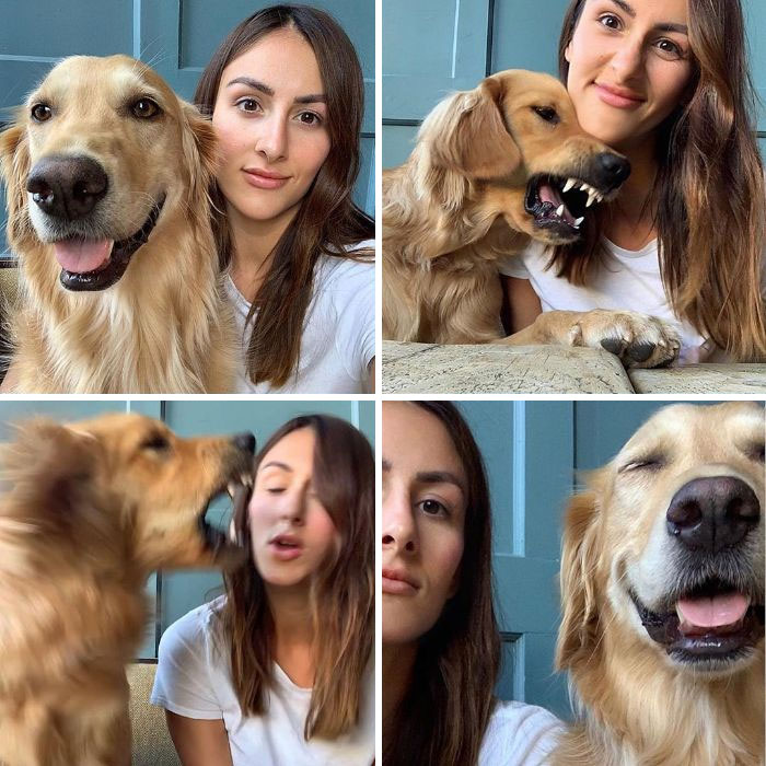 Pet-Dog-Funny-Photography-Soulmates-Hugo-Huxley-Ursula-Aitchinson