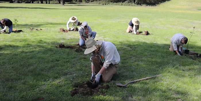 600 YouTubers Pledge To Plant 20 Million Trees Together To Fight Climate Change 600 YouTubers Pledge To Plant 20 Million Trees Together To Fight Climate Change