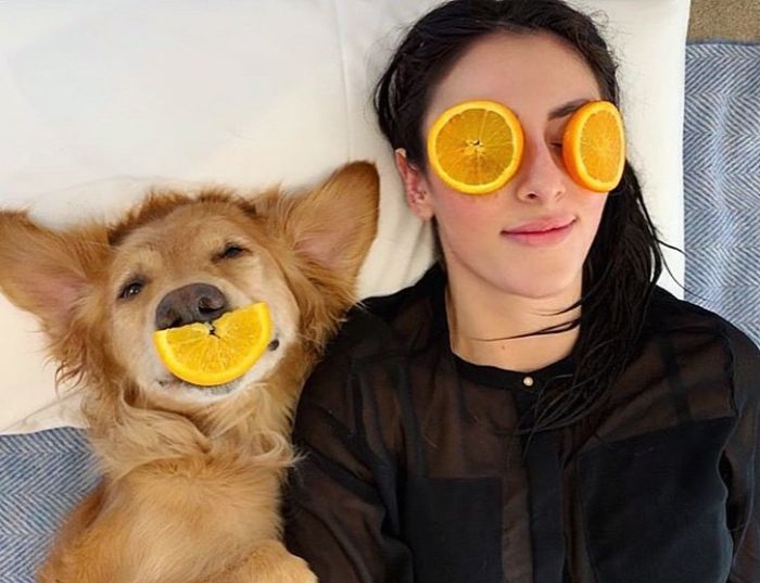 Pet-Dog-Funny-Photography-Soulmates-Hugo-Huxley-Ursula-Aitchinson