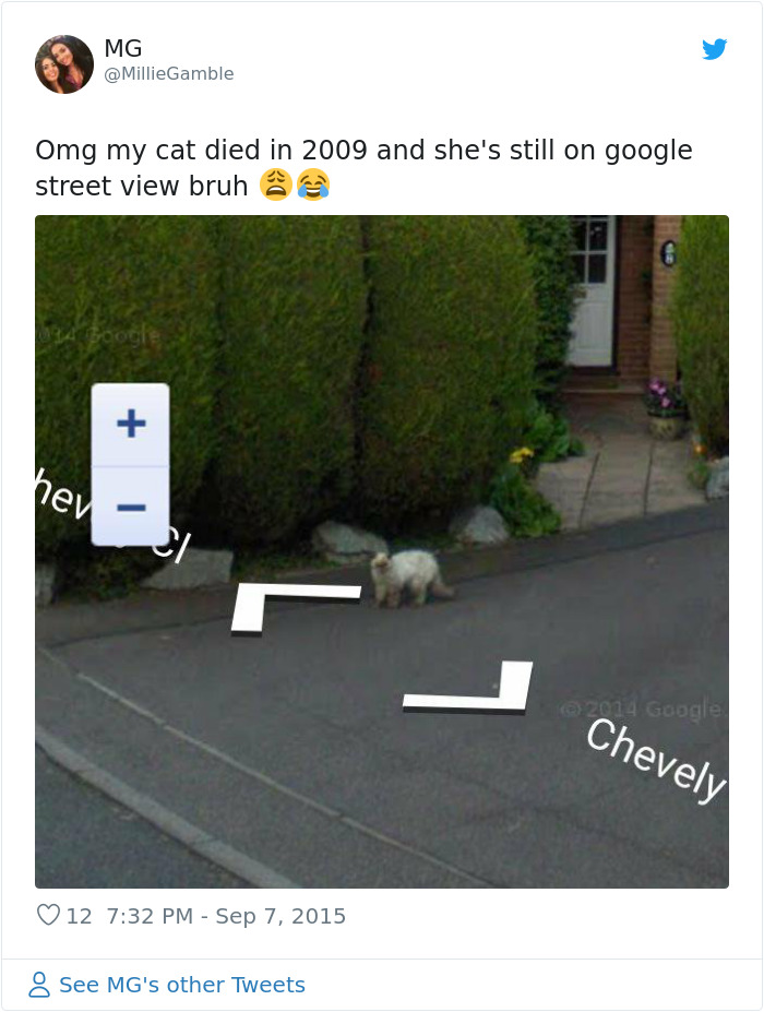 People-Share-Images-Of-Dead-Relatives-And-Pets-Found-On-Streat-View