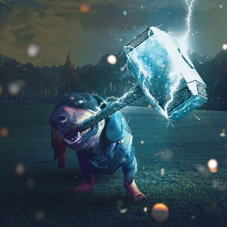 When Pincho Was In Asgard