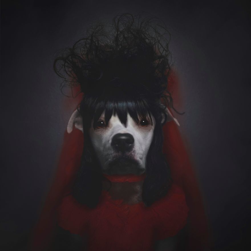 "I, Myself, Am Strange And Unusual"