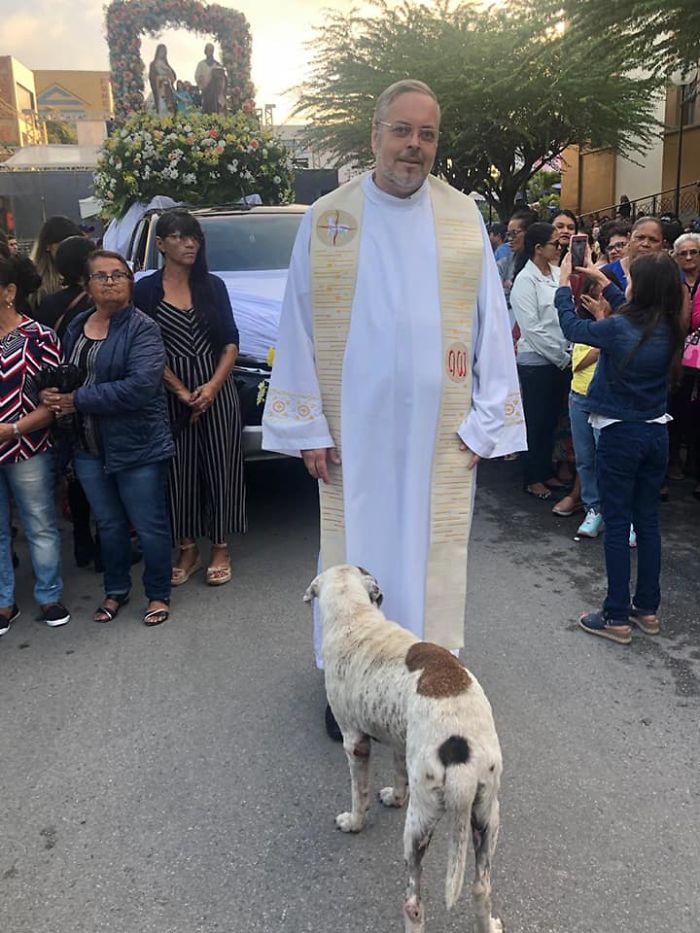 A Kind Priest Brings Stray Dogs To Mass So They Can Find New Families A Kind Priest Brings Stray Dogs To Mass So They Can Find New Families