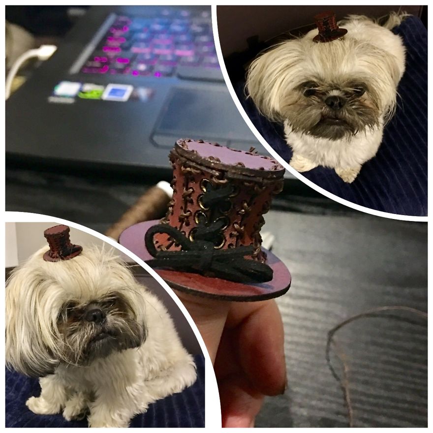 I Have Made 287 Leather Hats For My Dog! I Am Making 365 - I Have Not Missed A Day Since Her Birthday!!! I Have Made 287 Leather Hats For My Dog! I Am Making 365 - I Have Not Missed A Day Since Her Birthday!!!