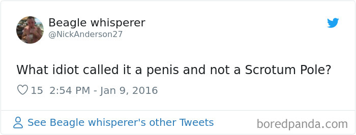 What-Idiot-Called-It