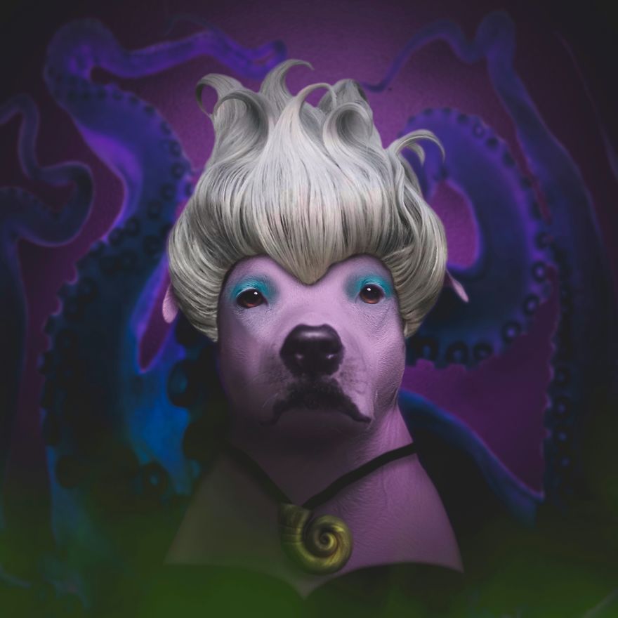 "They Weren't Kidding When They Called Me, Well, A Witch"