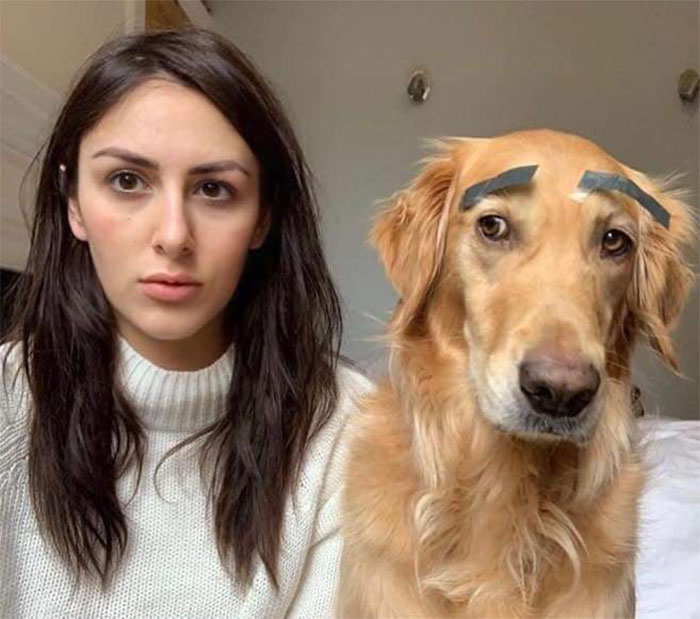 Pet-Dog-Funny-Photography-Soulmates-Hugo-Huxley-Ursula-Aitchinson