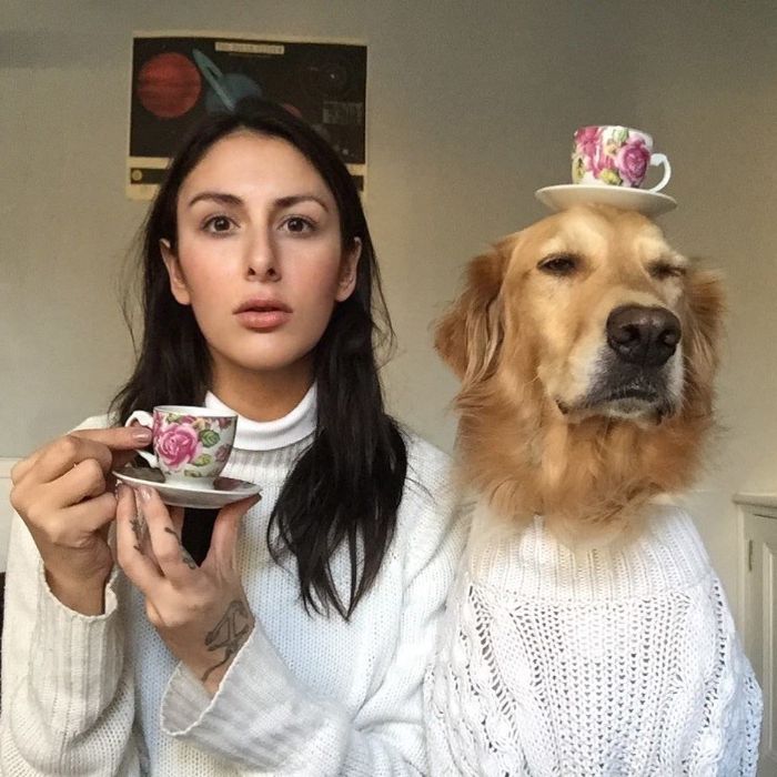 Pet-Dog-Funny-Photography-Soulmates-Hugo-Huxley-Ursula-Aitchinson