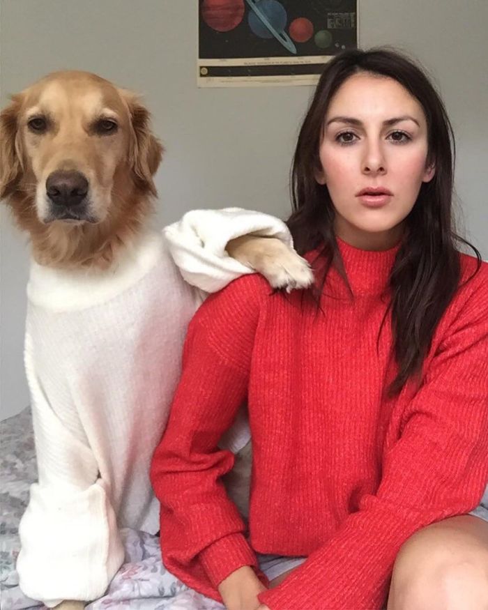 Pet-Dog-Funny-Photography-Soulmates-Hugo-Huxley-Ursula-Aitchinson