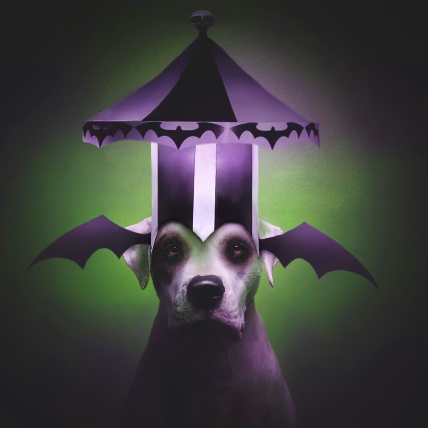 "I Am A Ghost With The Most, Babe"