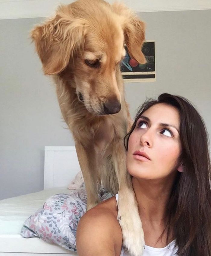 Pet-Dog-Funny-Photography-Soulmates-Hugo-Huxley-Ursula-Aitchinson