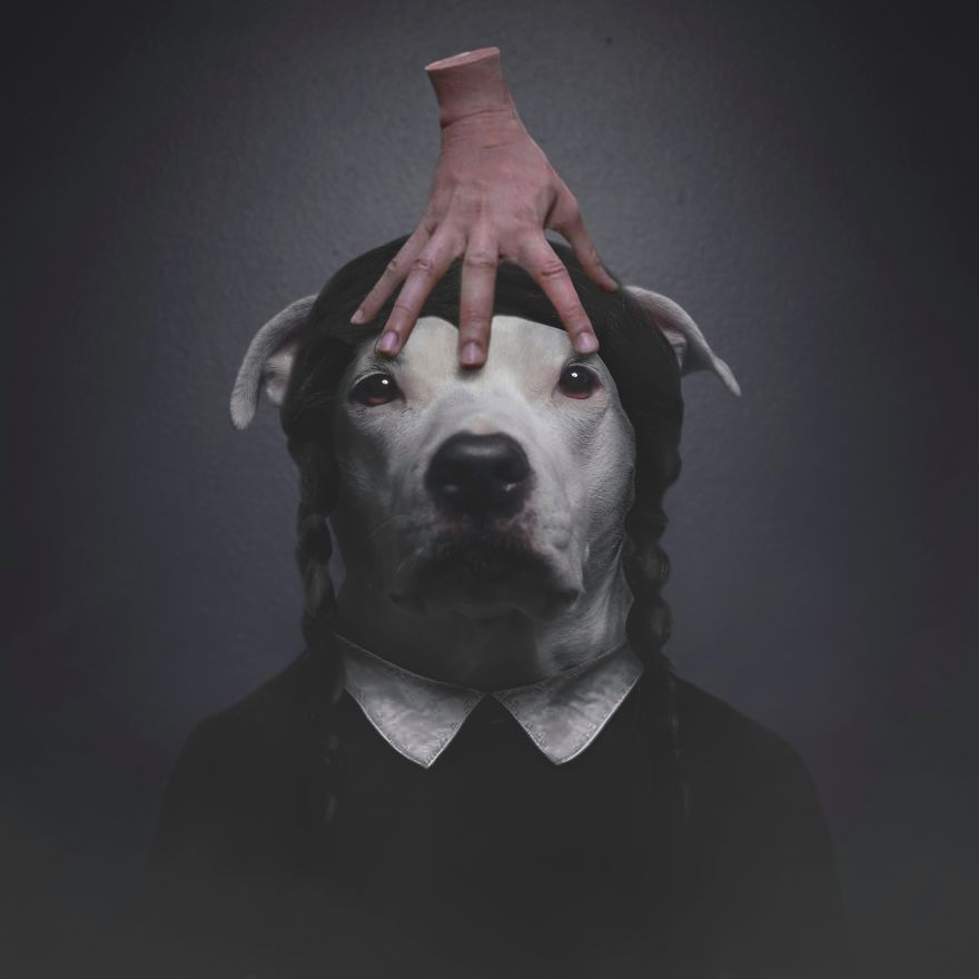 "I'll Stop Wearing Black When They Make A Darker Color"