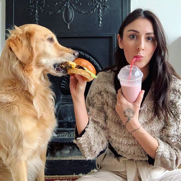 Pet-Dog-Funny-Photography-Soulmates-Hugo-Huxley-Ursula-Aitchinson