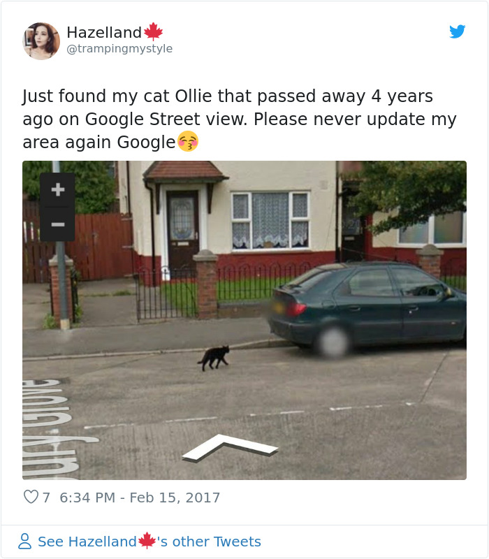 People-Share-Images-Of-Dead-Relatives-And-Pets-Found-On-Streat-View