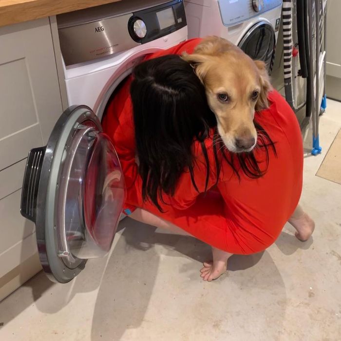 Pet-Dog-Funny-Photography-Soulmates-Hugo-Huxley-Ursula-Aitchinson