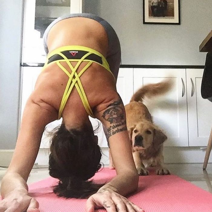 Pet-Dog-Funny-Photography-Soulmates-Hugo-Huxley-Ursula-Aitchinson