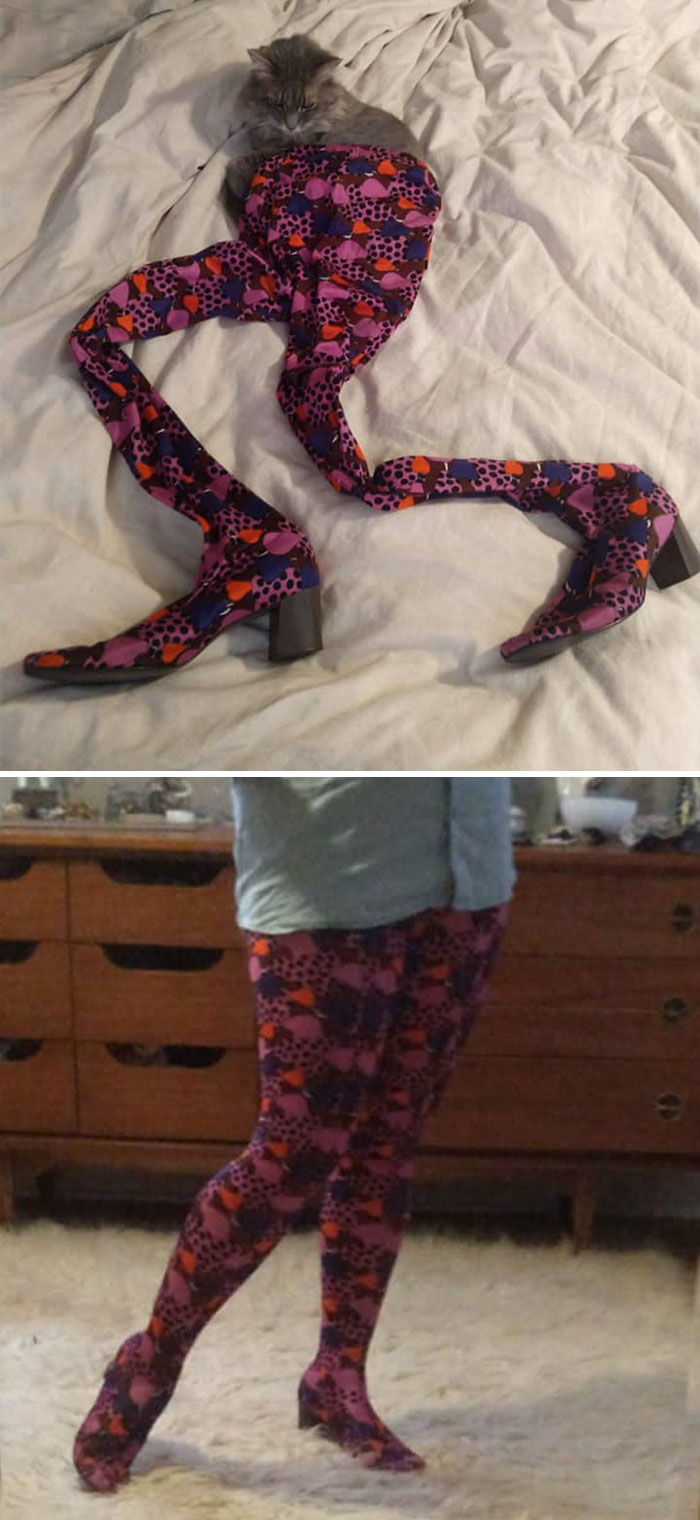 Some Shoepants Comin' At Ya. These Babies Set Me Back A Whole $.25 At St. Vinnie's