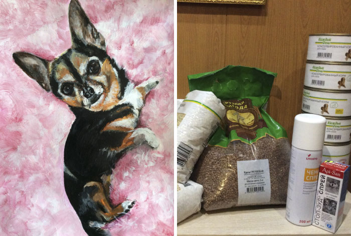 This 9-Year-Old Russian Boy &lsquo;Sells&rsquo; His Custom Pet Paintings For Food And Supplies For Shelter Animals