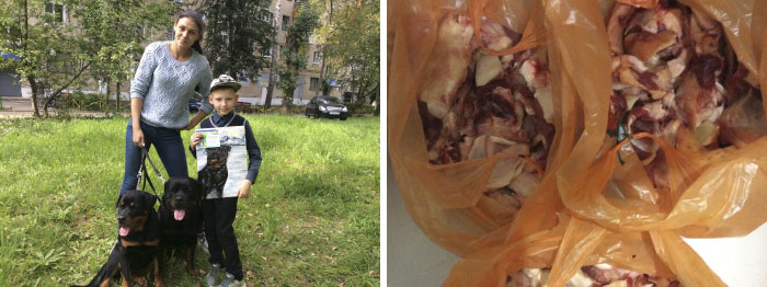 This 9-Year-Old Russian Boy &lsquo;Sells&rsquo; His Custom Pet Paintings For Food And Supplies For Shelter Animals