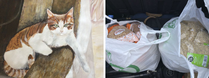 This 9-Year-Old Russian Boy &lsquo;Sells&rsquo; His Custom Pet Paintings For Food And Supplies For Shelter Animals
